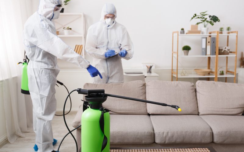 Cleaning company making treatment of sofas and surfaces